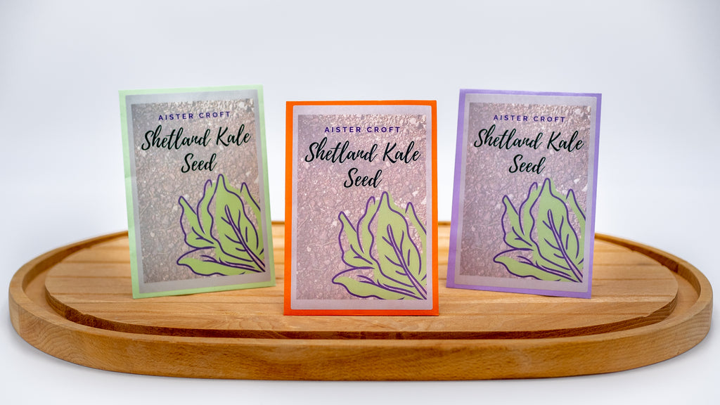 Shetland Kale Seed